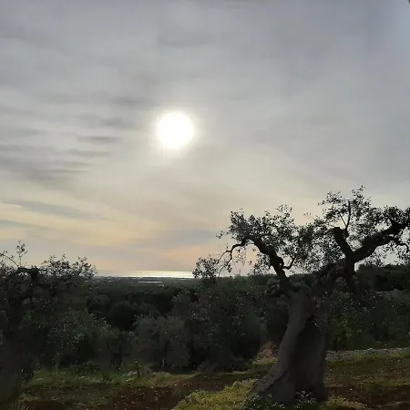 Panoramica Gasthof 4*