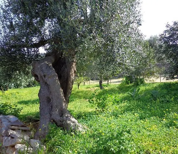 Panoramica 4* Monopoli