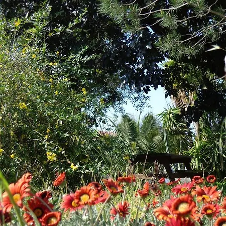 Panoramica Casa de hóspedes