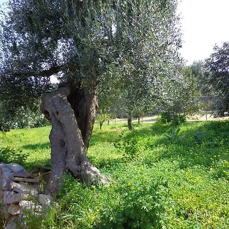 Panoramica 4* Monopoli