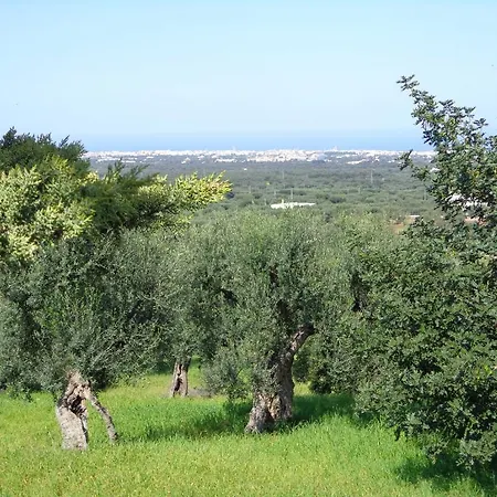 Panoramica Guest house 4*