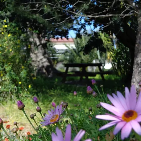 Guest house Panoramica 4*