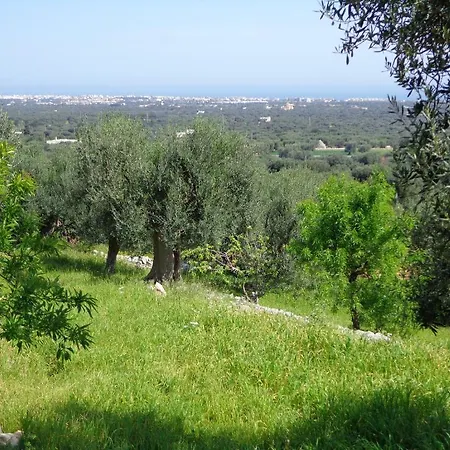 Guest house Panoramica 4*